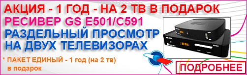 GS E501/GS C591 GS E501